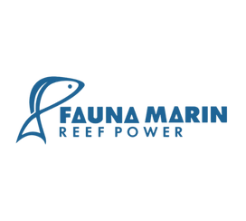 Fauna Marin